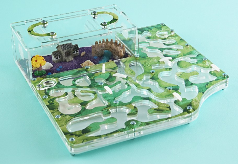 Муравьиная ферма формикарий