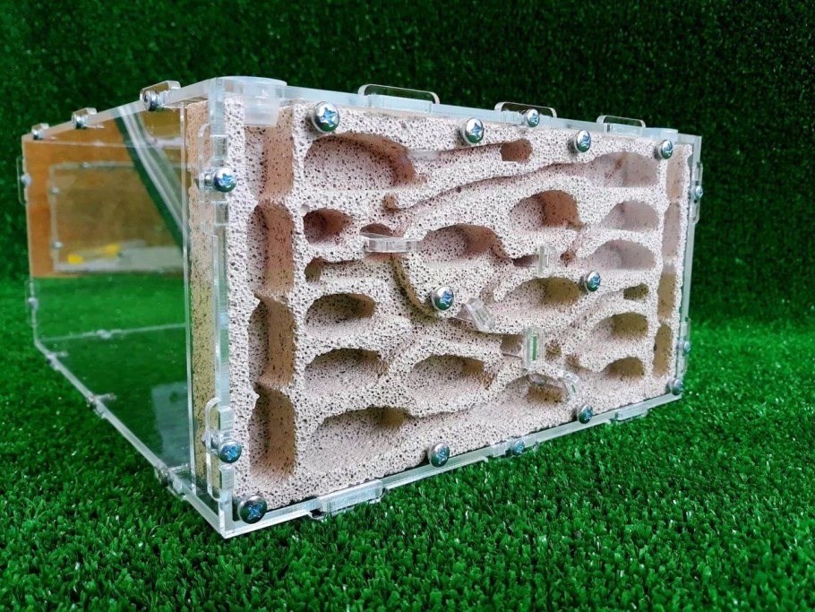 Формикарий для муравьев