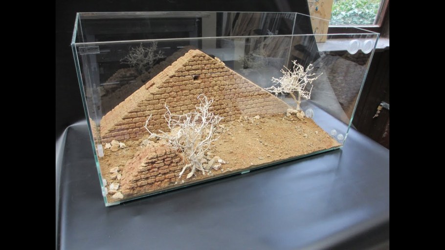 Муравьиная ферма биотоп