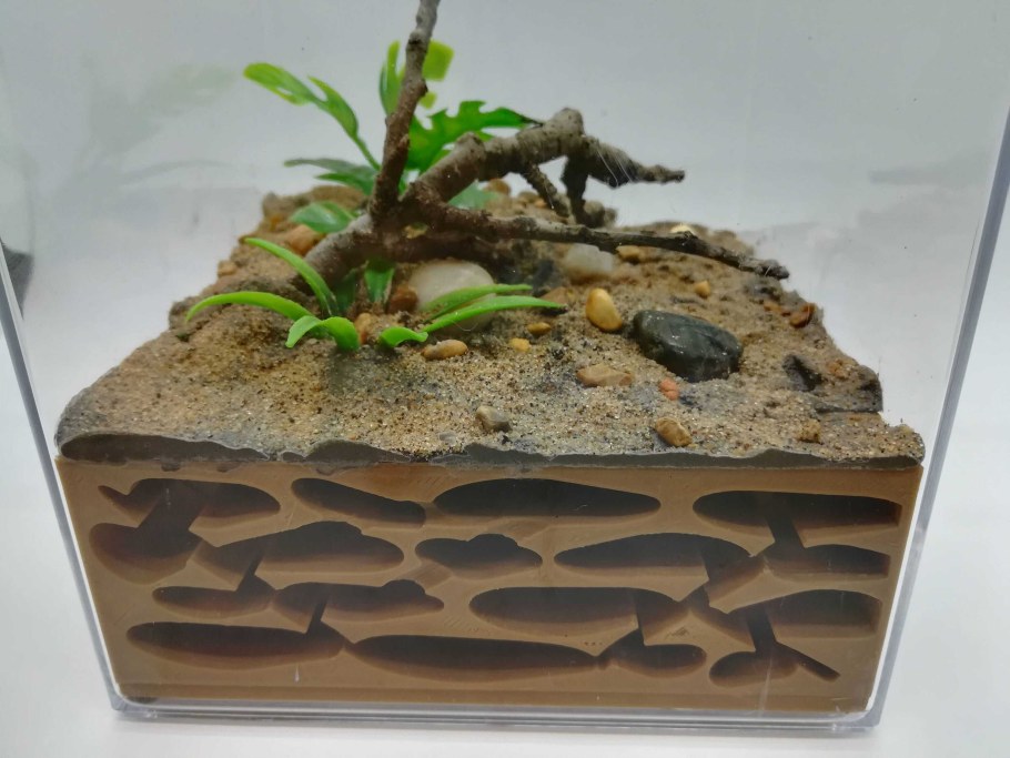 Колония муравьев (формикарий)