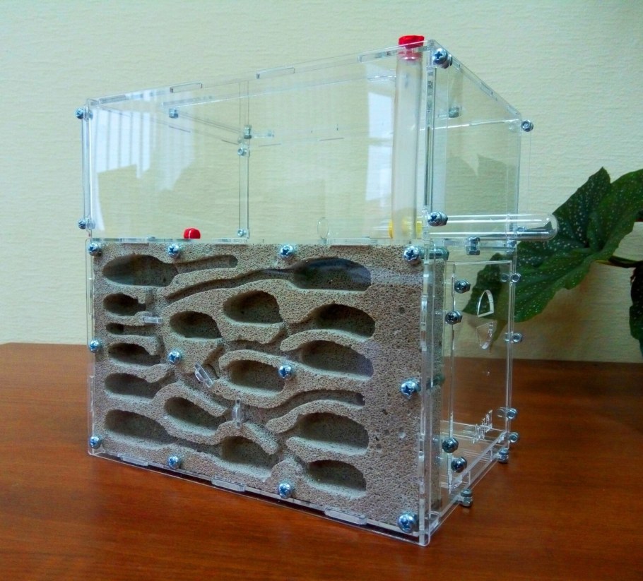 Anthill формикарий