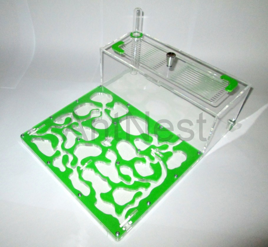 Муравейник формикарий