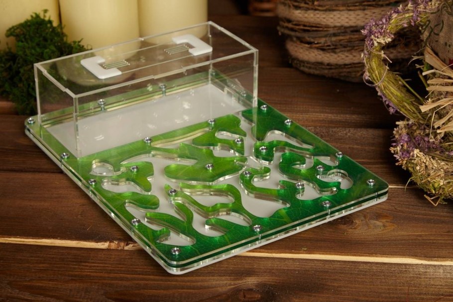 Муравьиная ферма формикарий