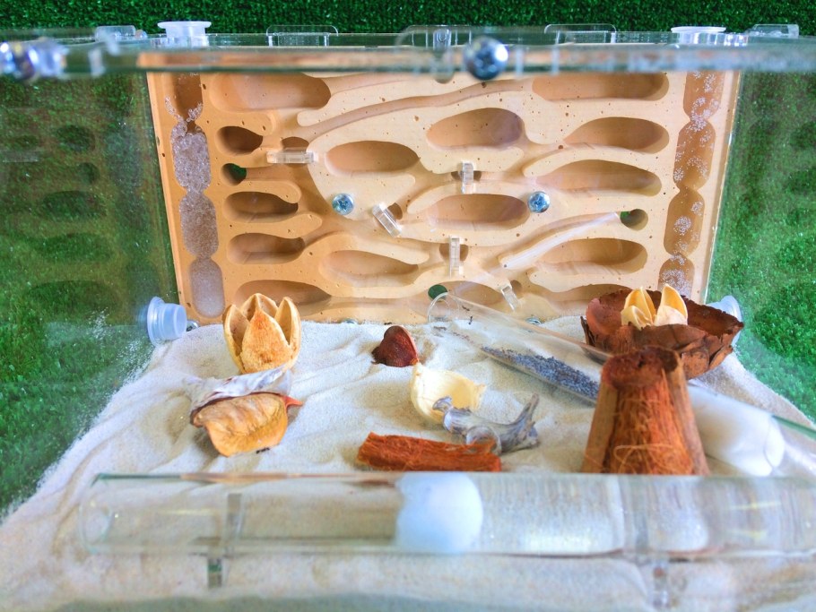 Земляной формикарий