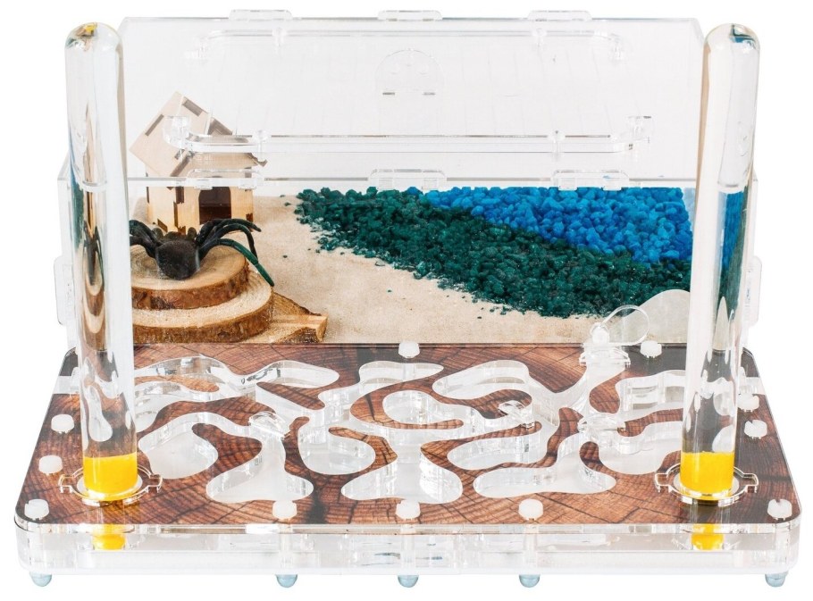 Муравьиная ферма формикарий