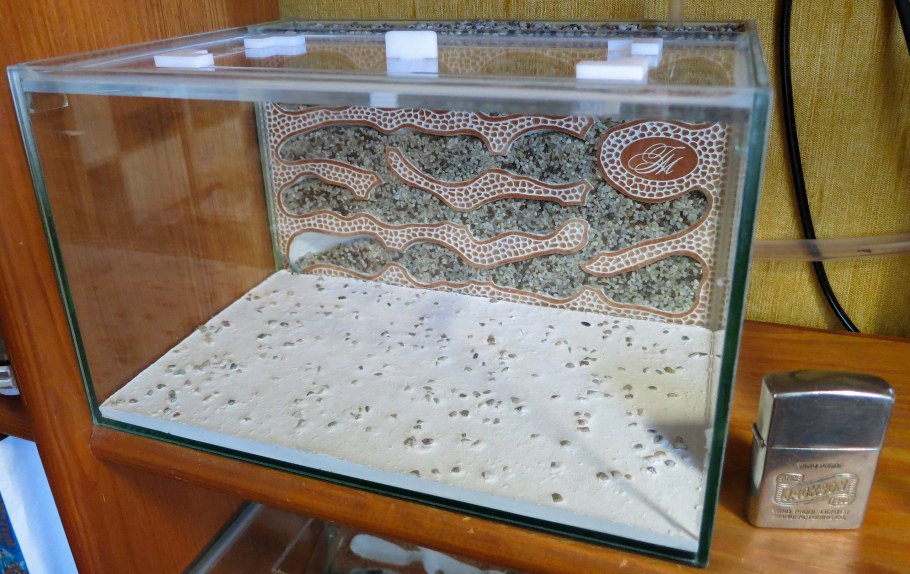 Муравьиная ферма формикарий