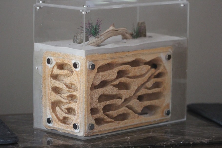 Тля для муравьев формикарий