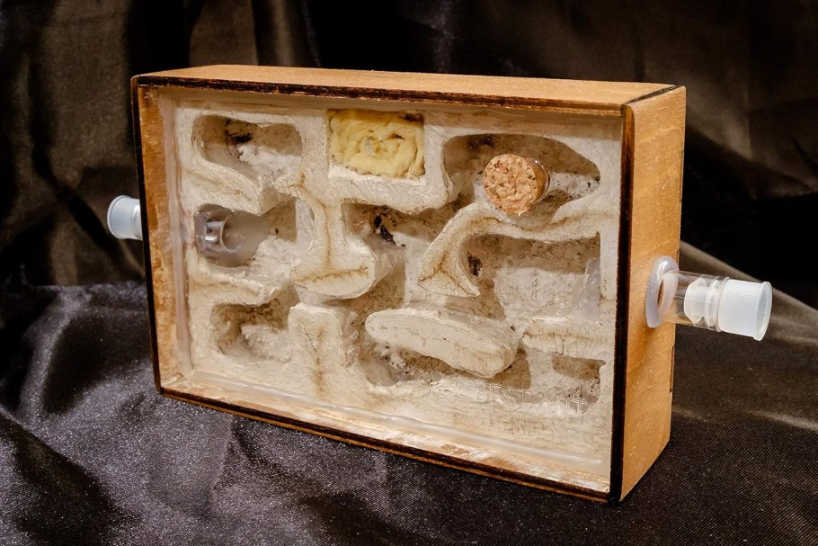 Формикарий из дерева своими руками