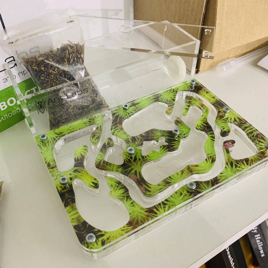 Муравьиная ферма формикарий