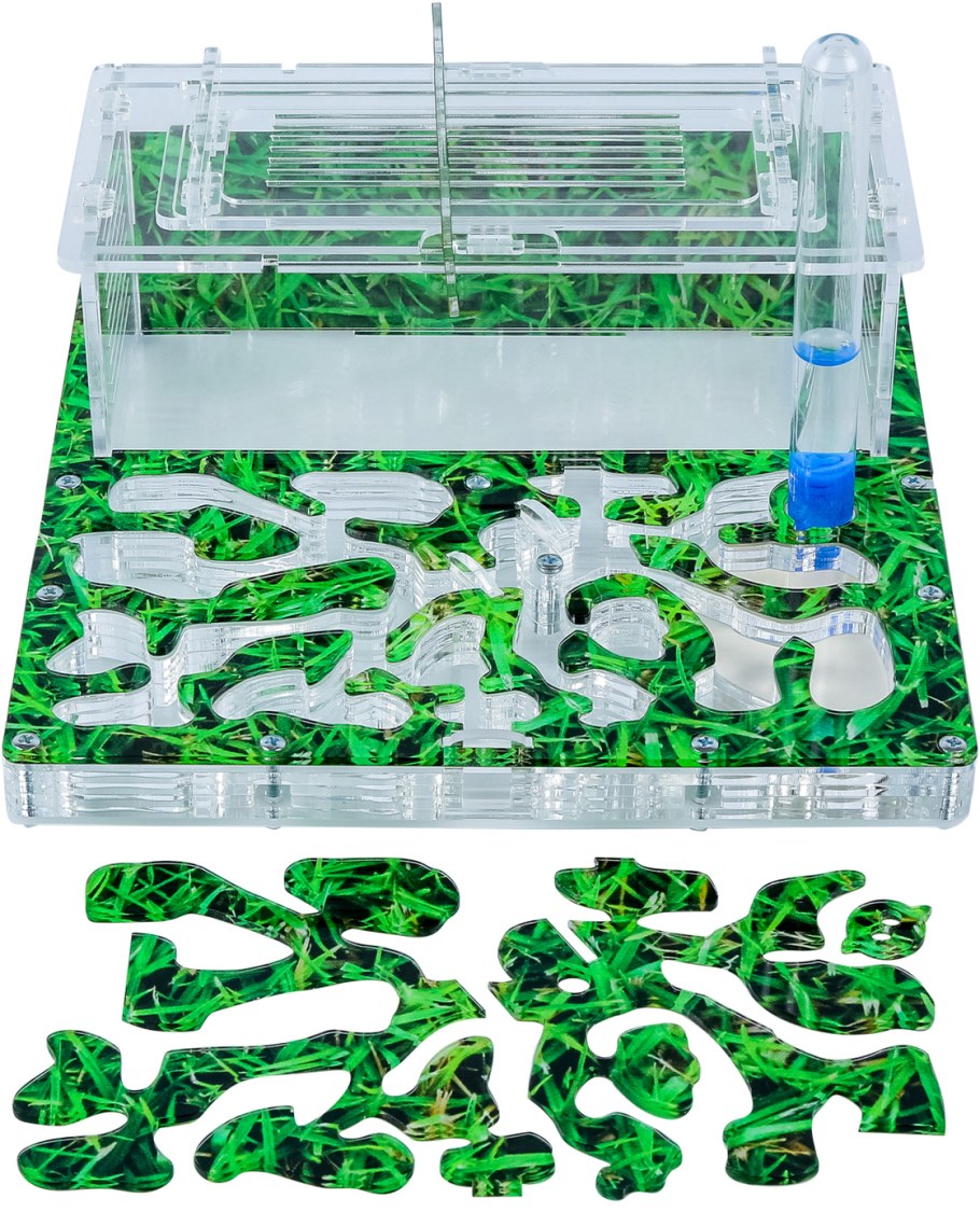 Муравьиная ферма старт, зеленая, 20*15*7см