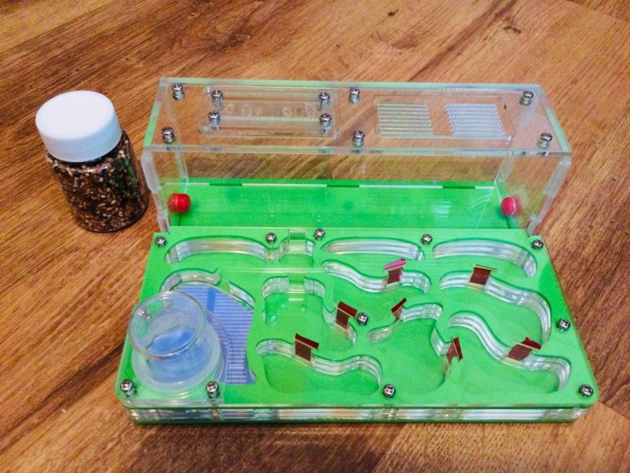 Самая большая муравьиная ферма