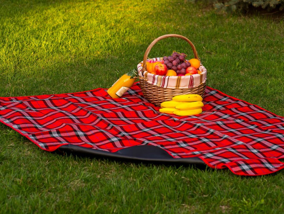 Плед для пикника Sleepy Picnic
