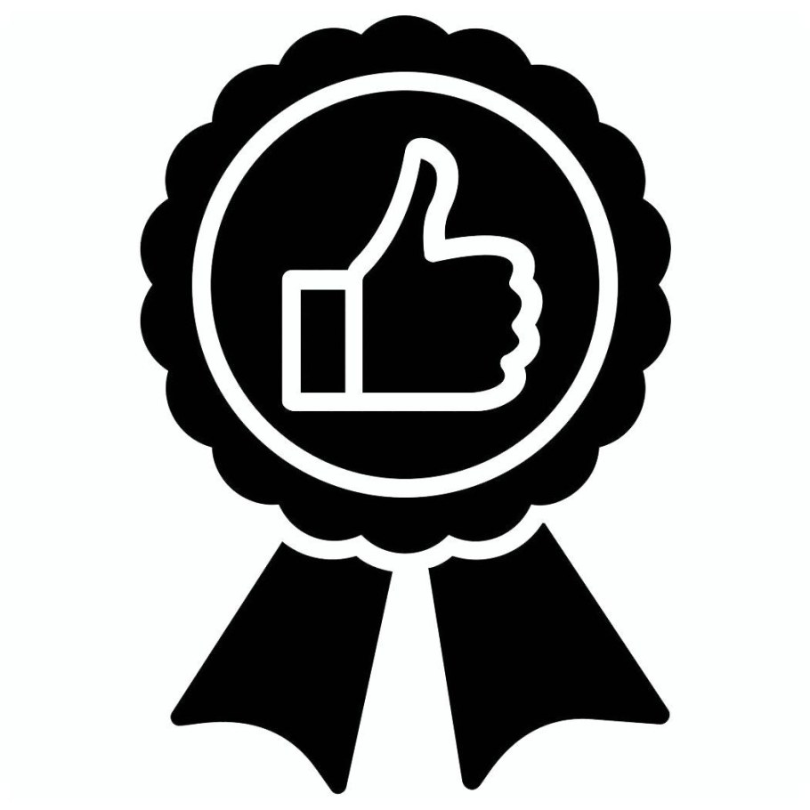 Стандарт качества иконка