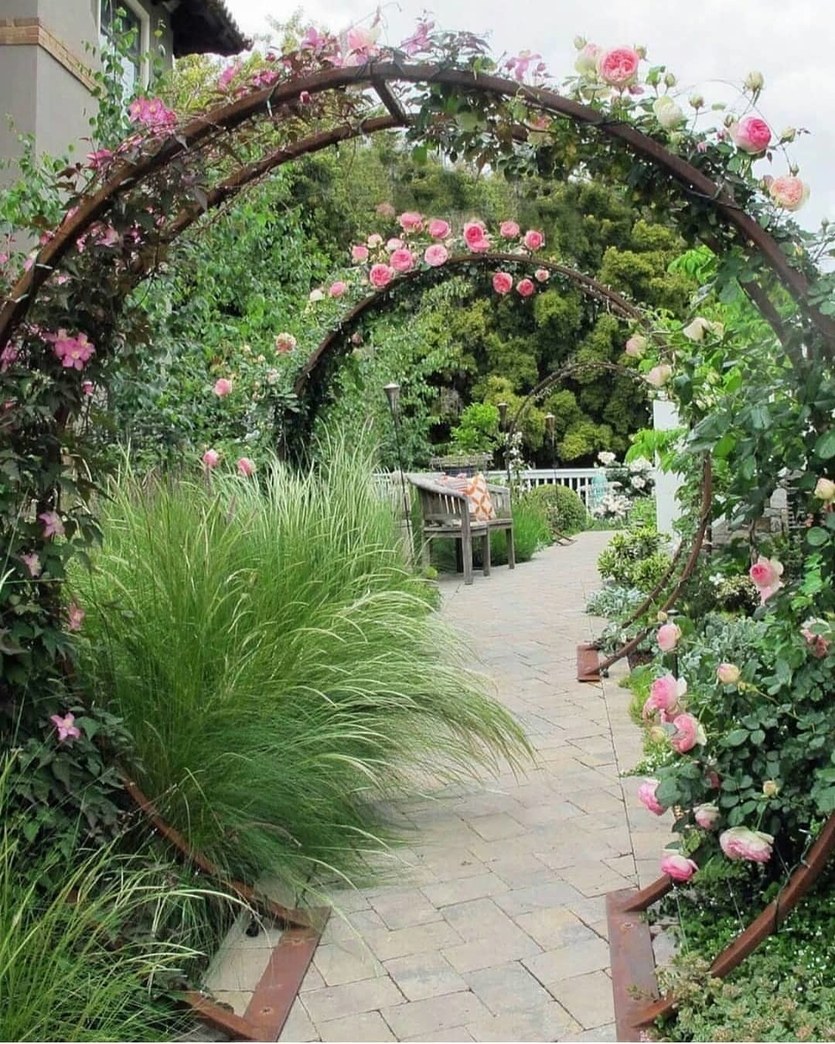 Розарий обрамленный живой изгородью