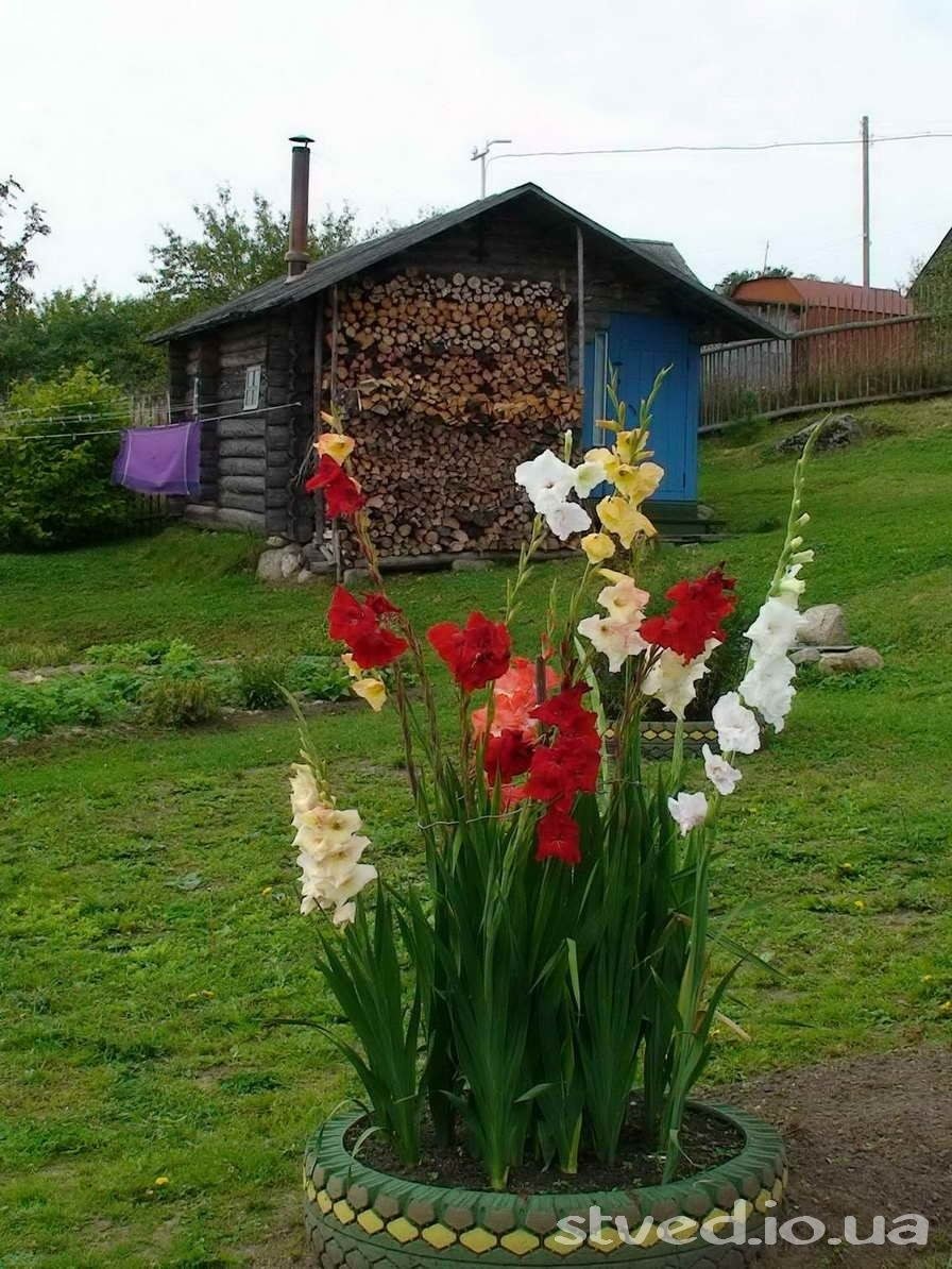 Клумбы на даче