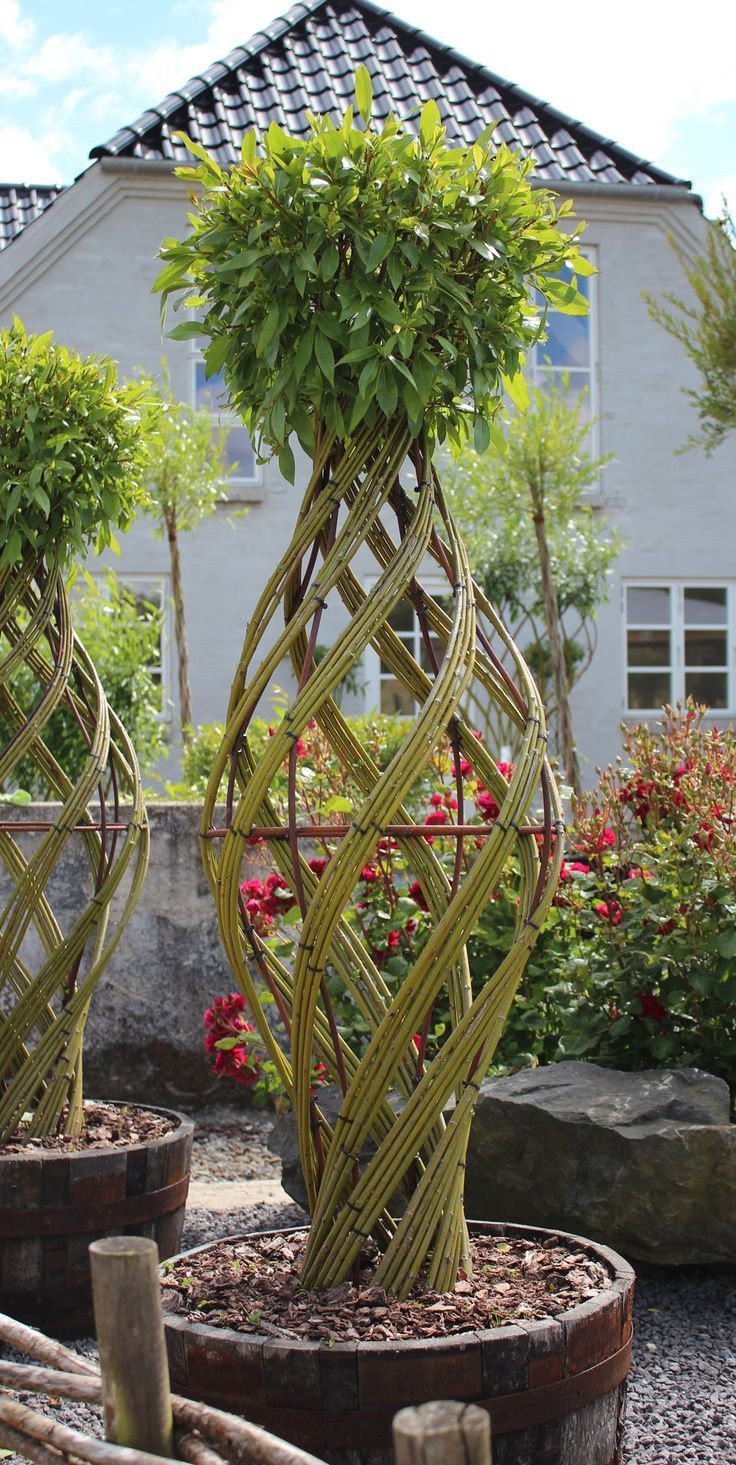 Арбоскульптура Ива