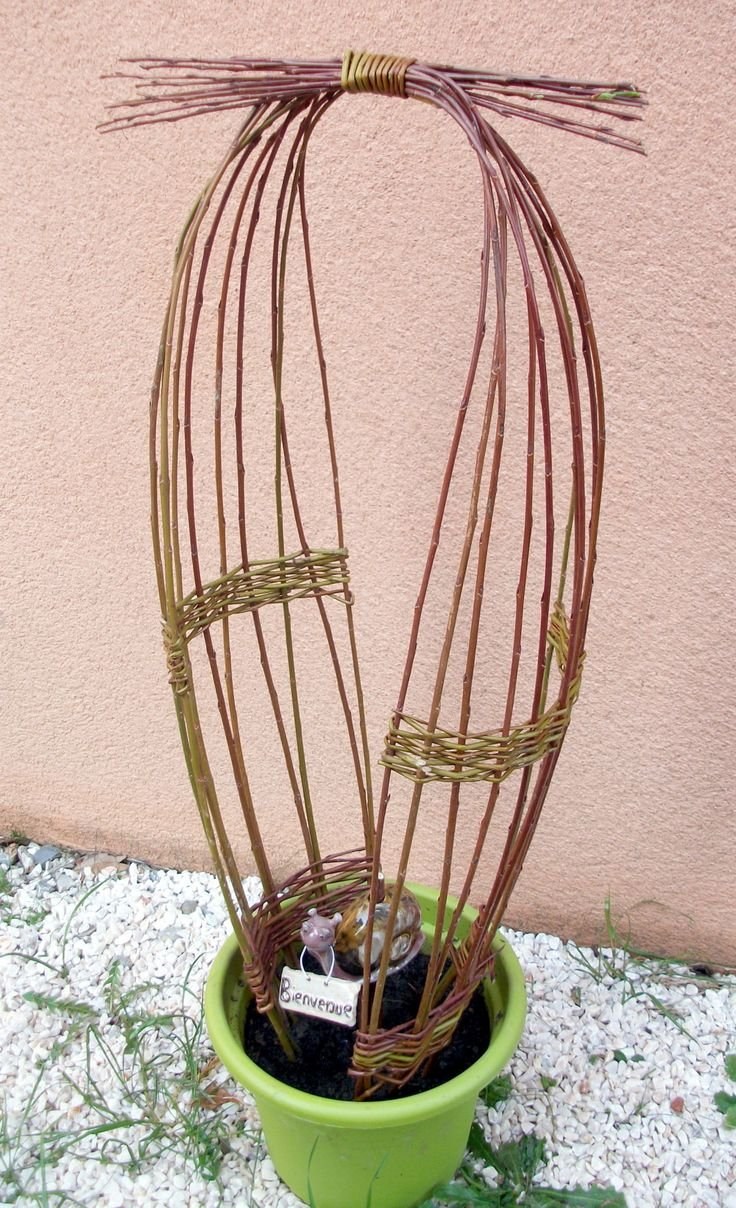 Ивовое плетение в горшке