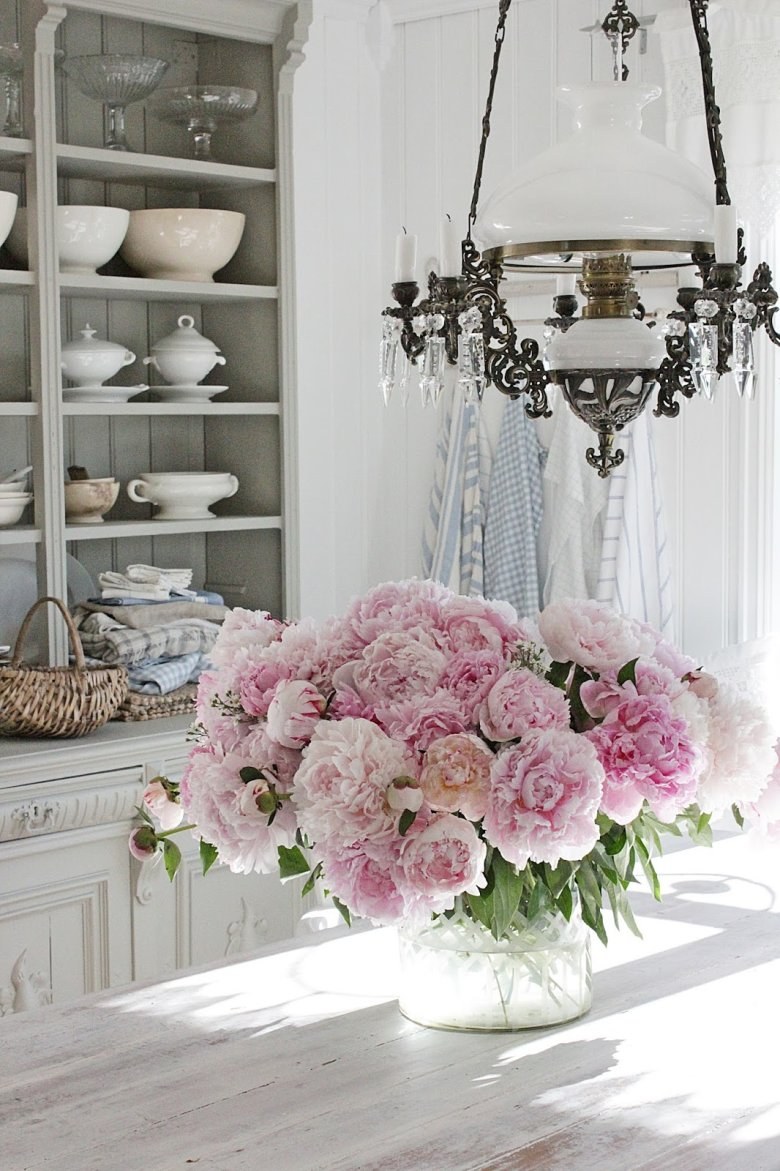 Пионы Прованс