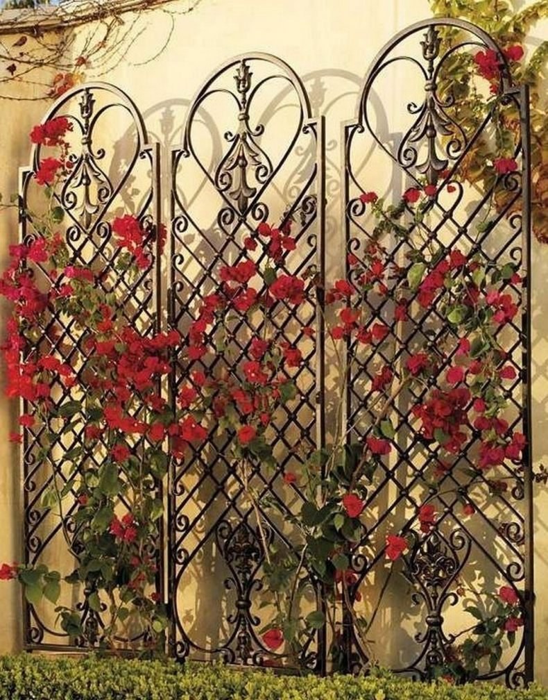 Шпалера полуарка