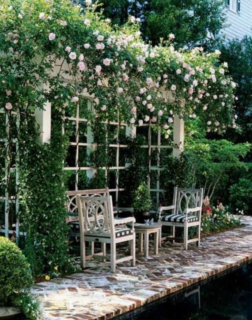 Пергола увитая растениями