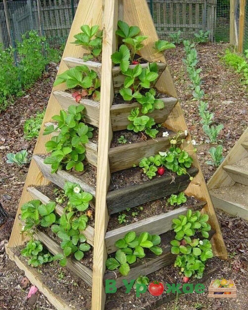 Грядка пирамида ТМКН