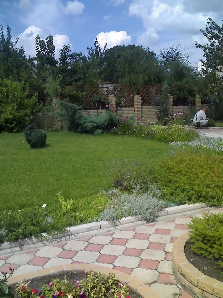 Алтай в ландшафтном дизайне (98 фото)