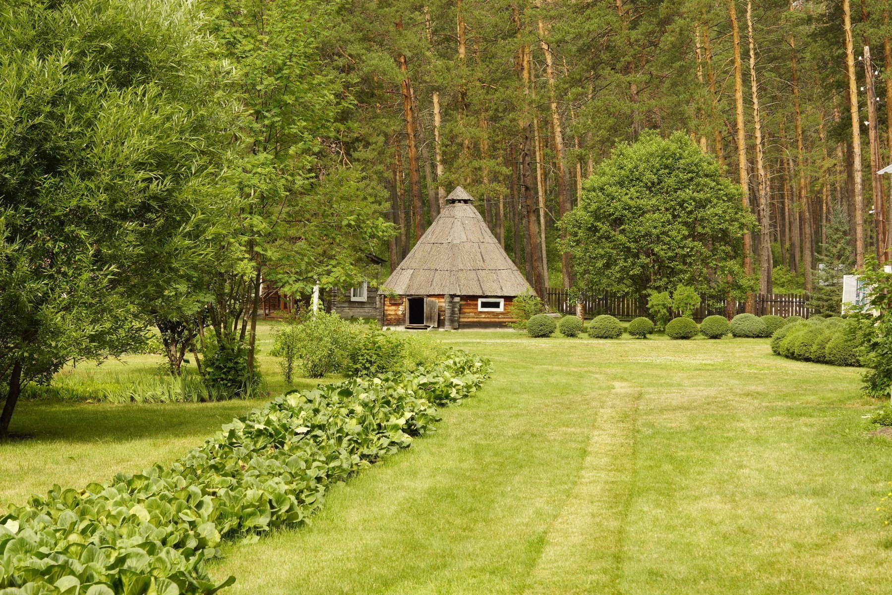 Камлак. Ботанический сад Горно-Алтайск. Ботанический сад Камлак. Горно-Алтайский Ботанический сад Республика Алтай. Камлак Республика Алтай Ботанический сад.