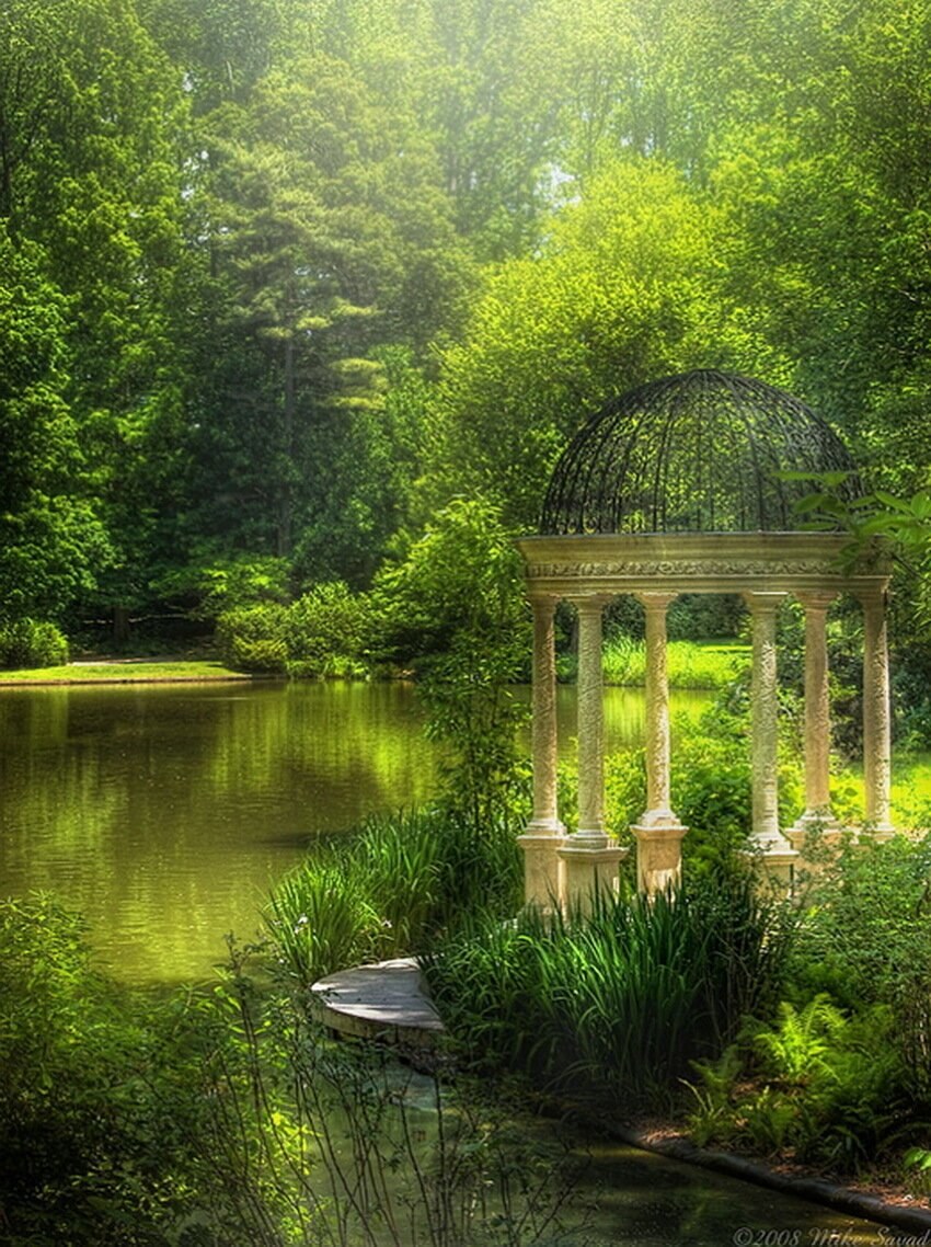 Сад с лесным прудиком