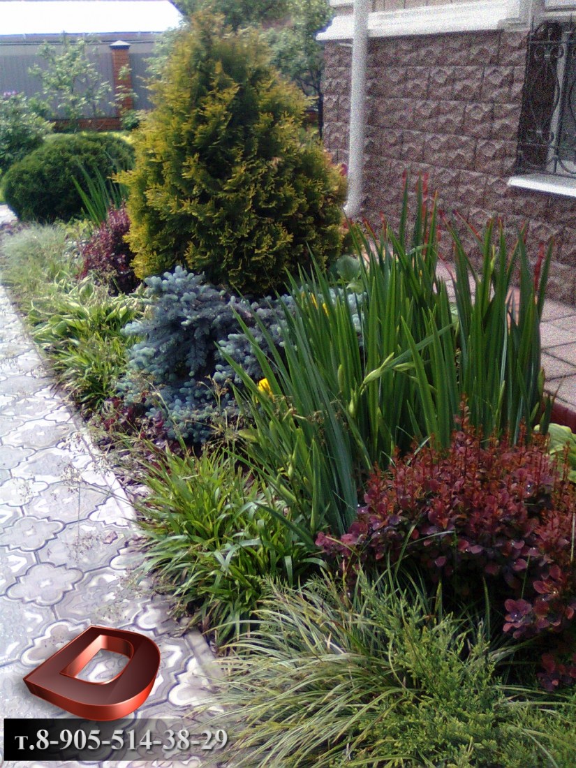 Можжевельник с барбарисом и хостой