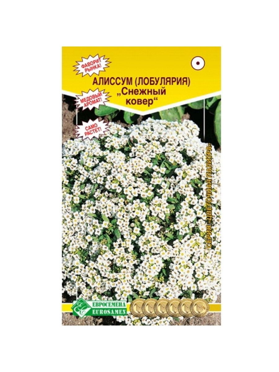 Алиссум Клеа Кристалл