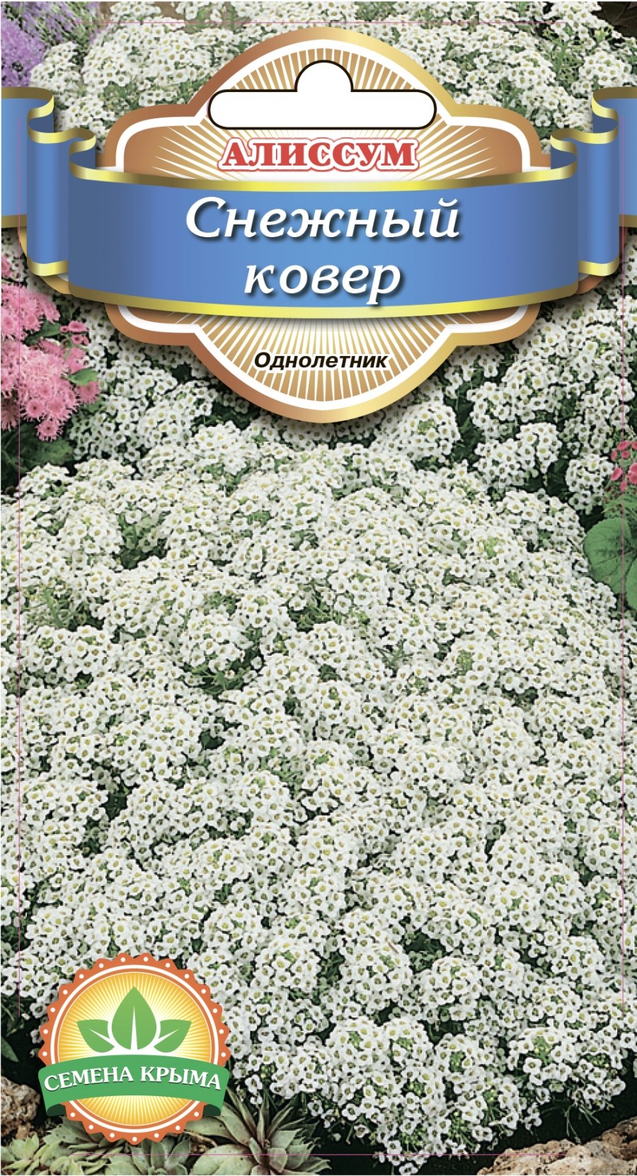 Цветок алиссум семена