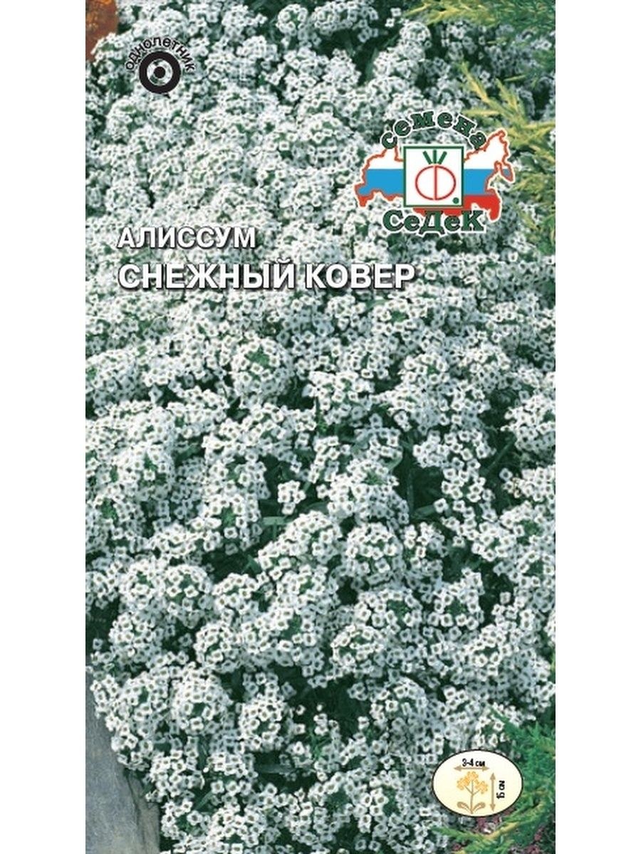 Алиссум морской семена
