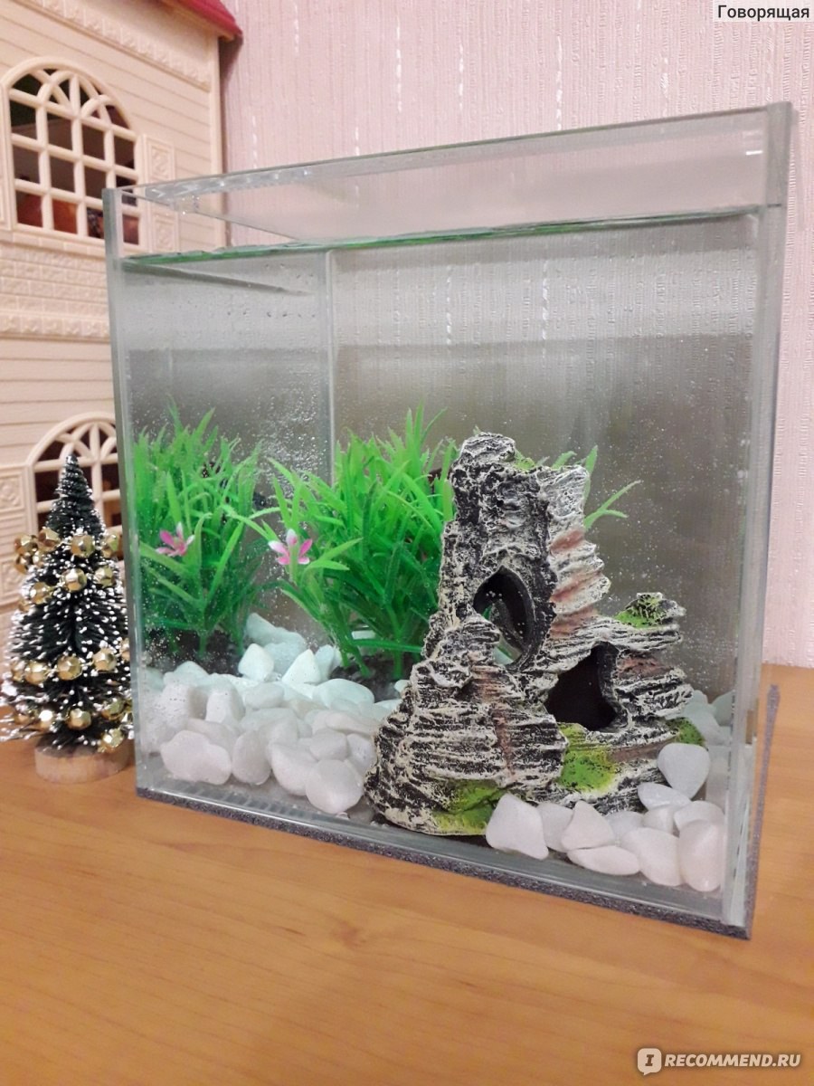 Fishtownlo:Miniaquarium