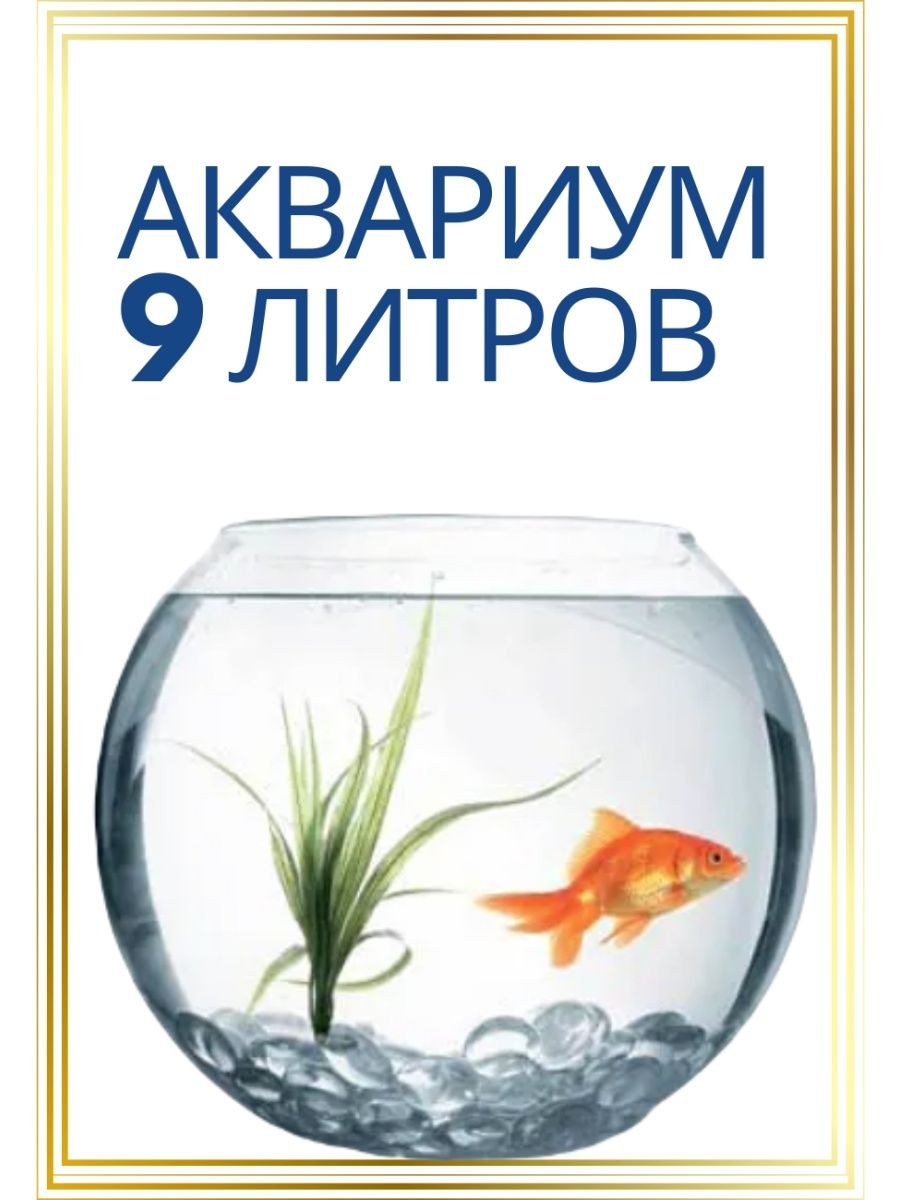 Аквариум без рыбок для интерьера (85 фото)