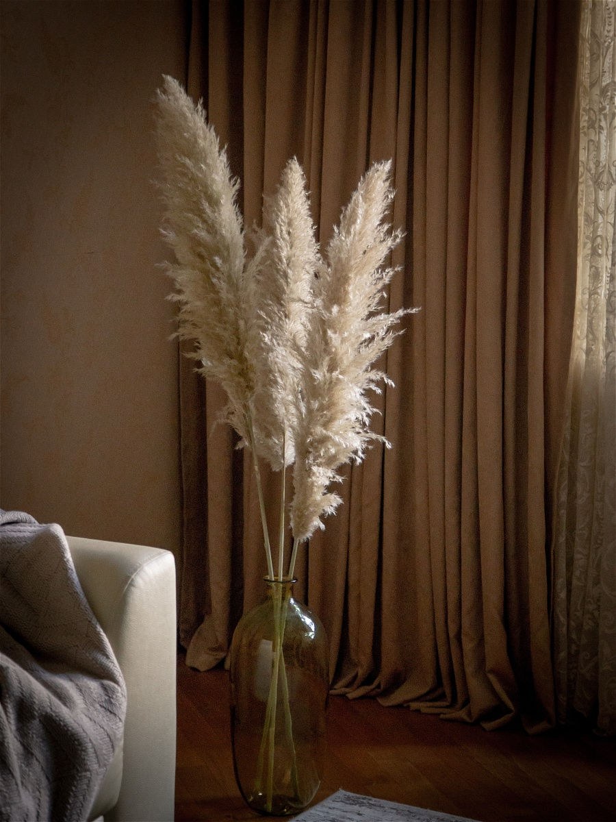 Сухоцвет Пампас кортадерия