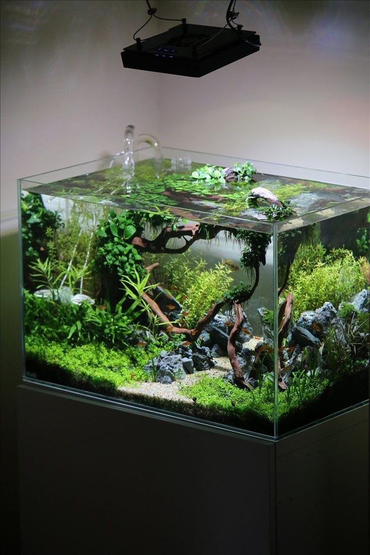 Акваскейп 25л