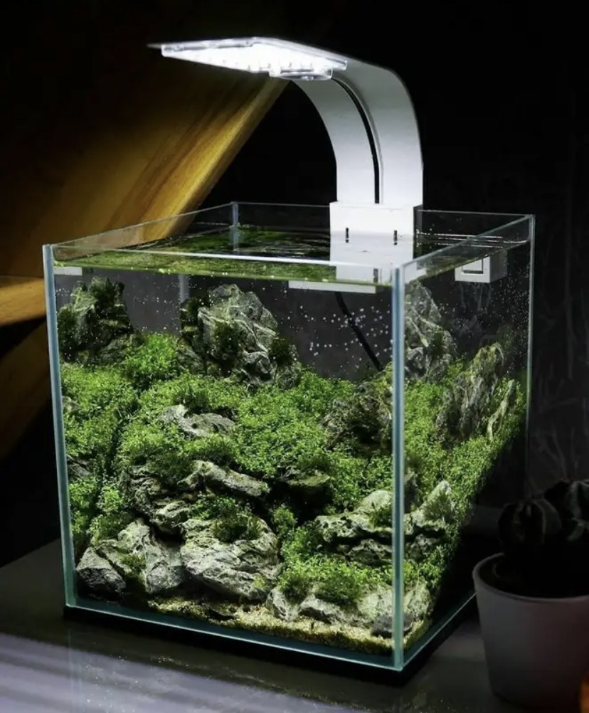 Акваскейпинг нано куб 30