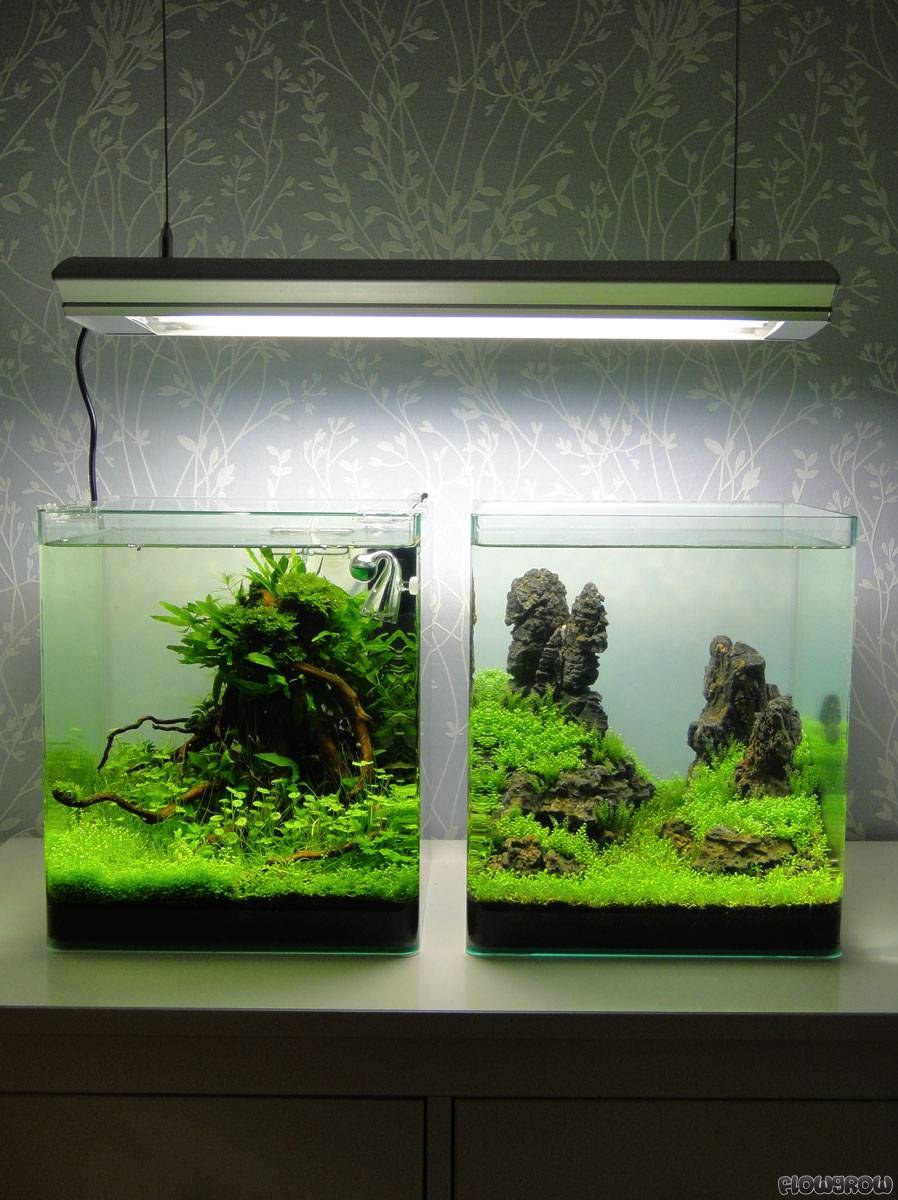 Акваскейп 30 л аквариум