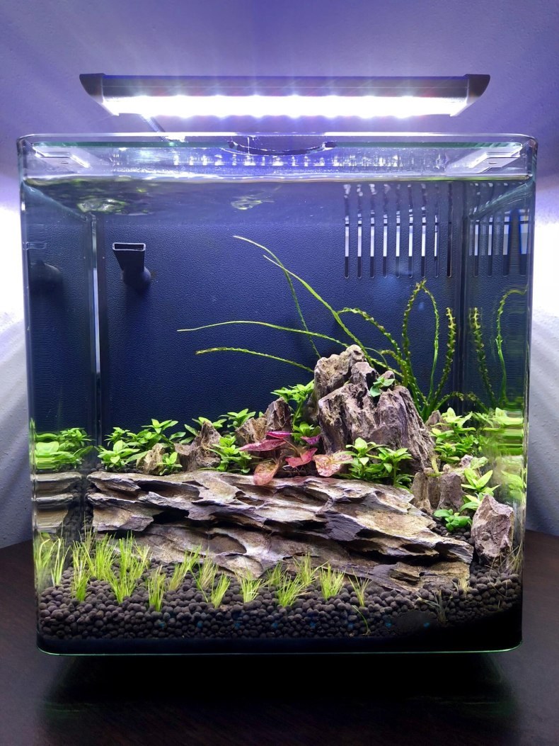 Акваскейп 30л