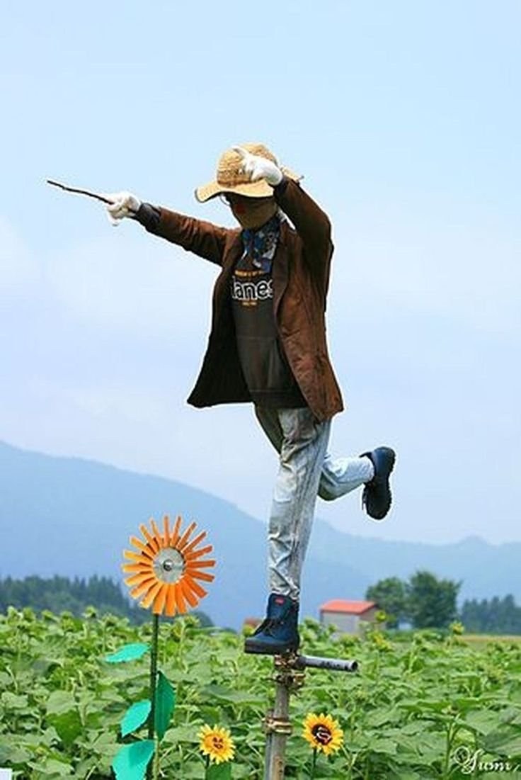 Пугало в огороде