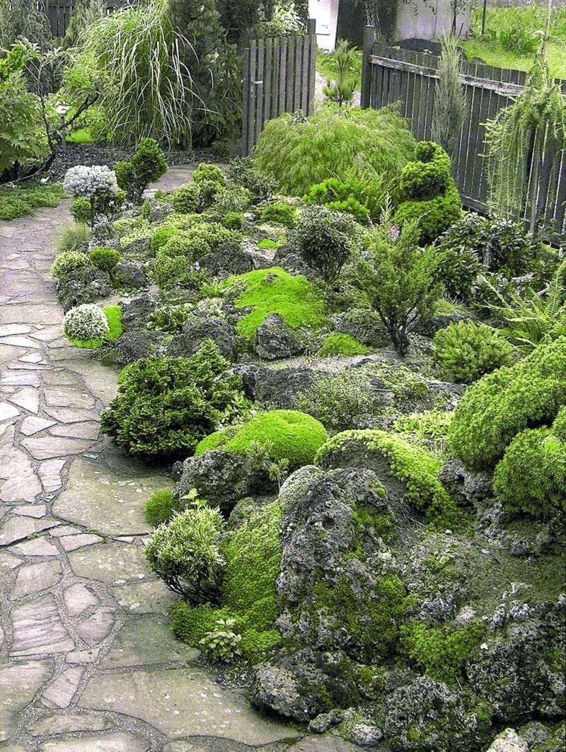 Рокарий- Альпийская лужайка