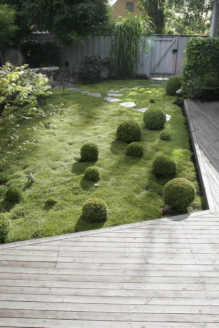 Гривко ландшафтный мох