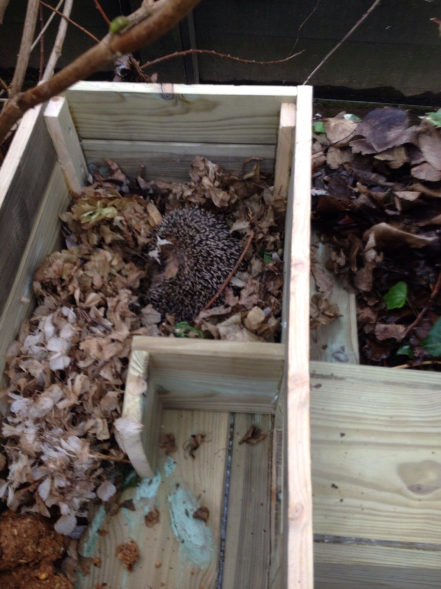 Домик для ежика