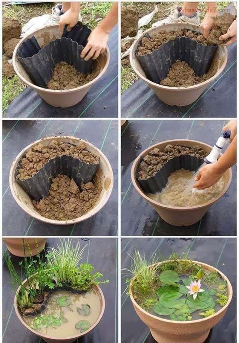 Мини пруд в горшке