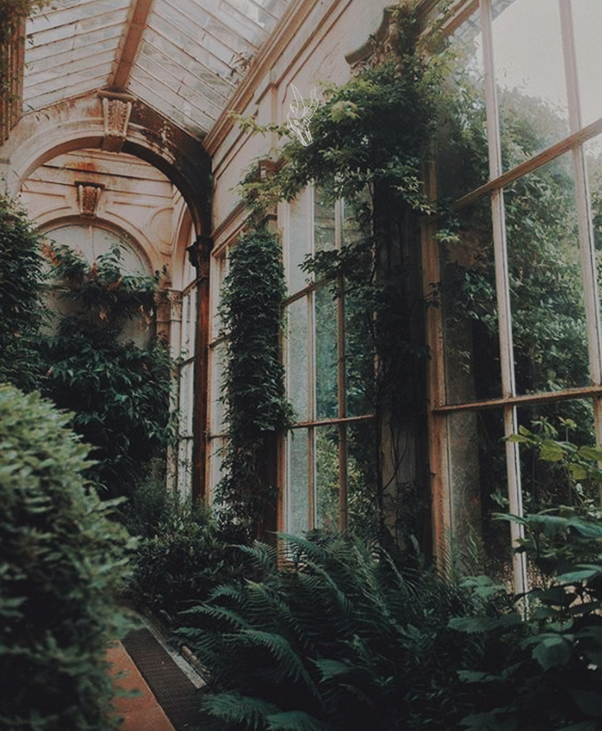 Ботанический сад ВДНХ оранжерея