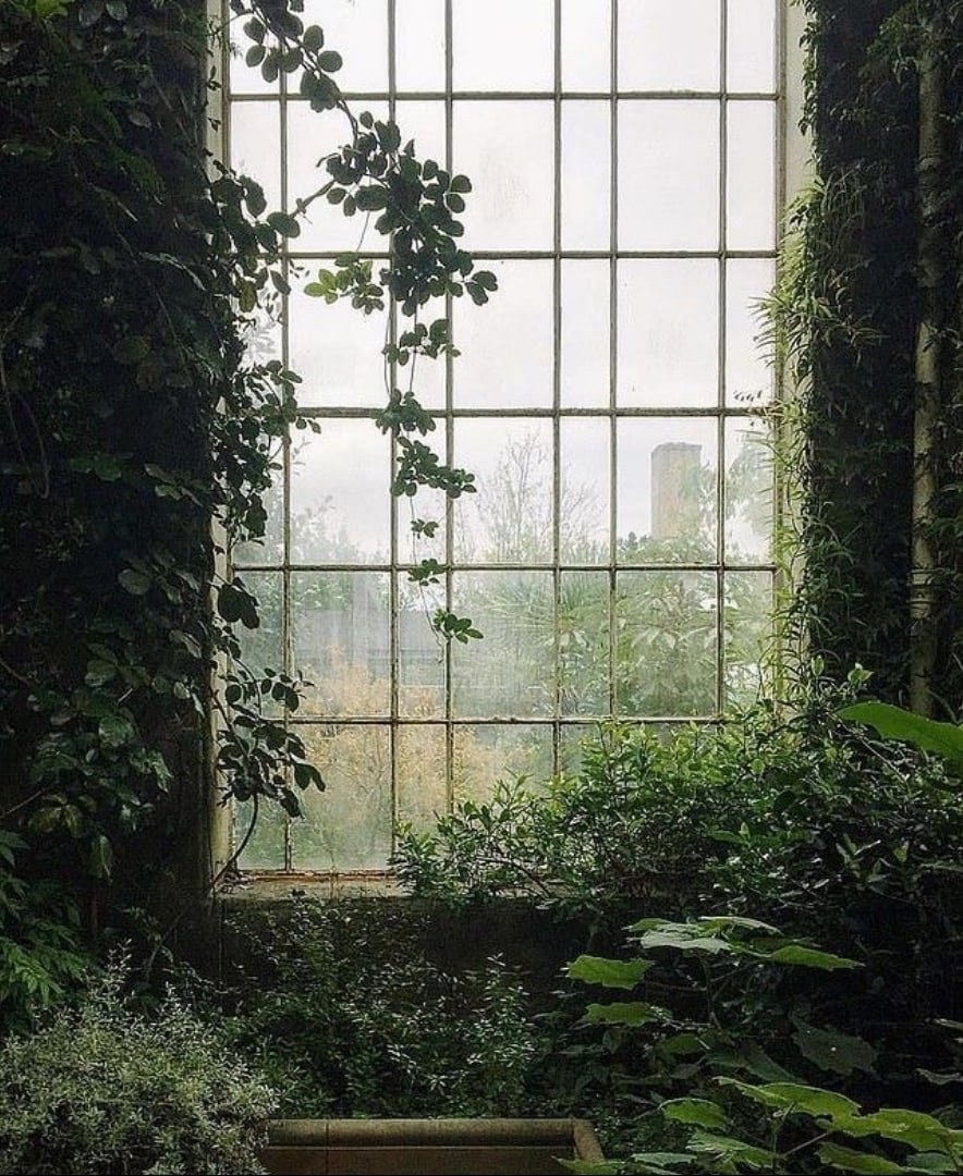 Зелень Эстетика