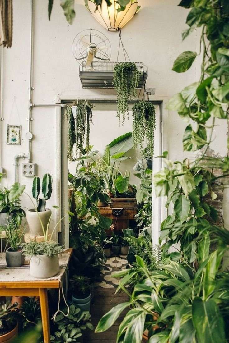 Комната с растениями