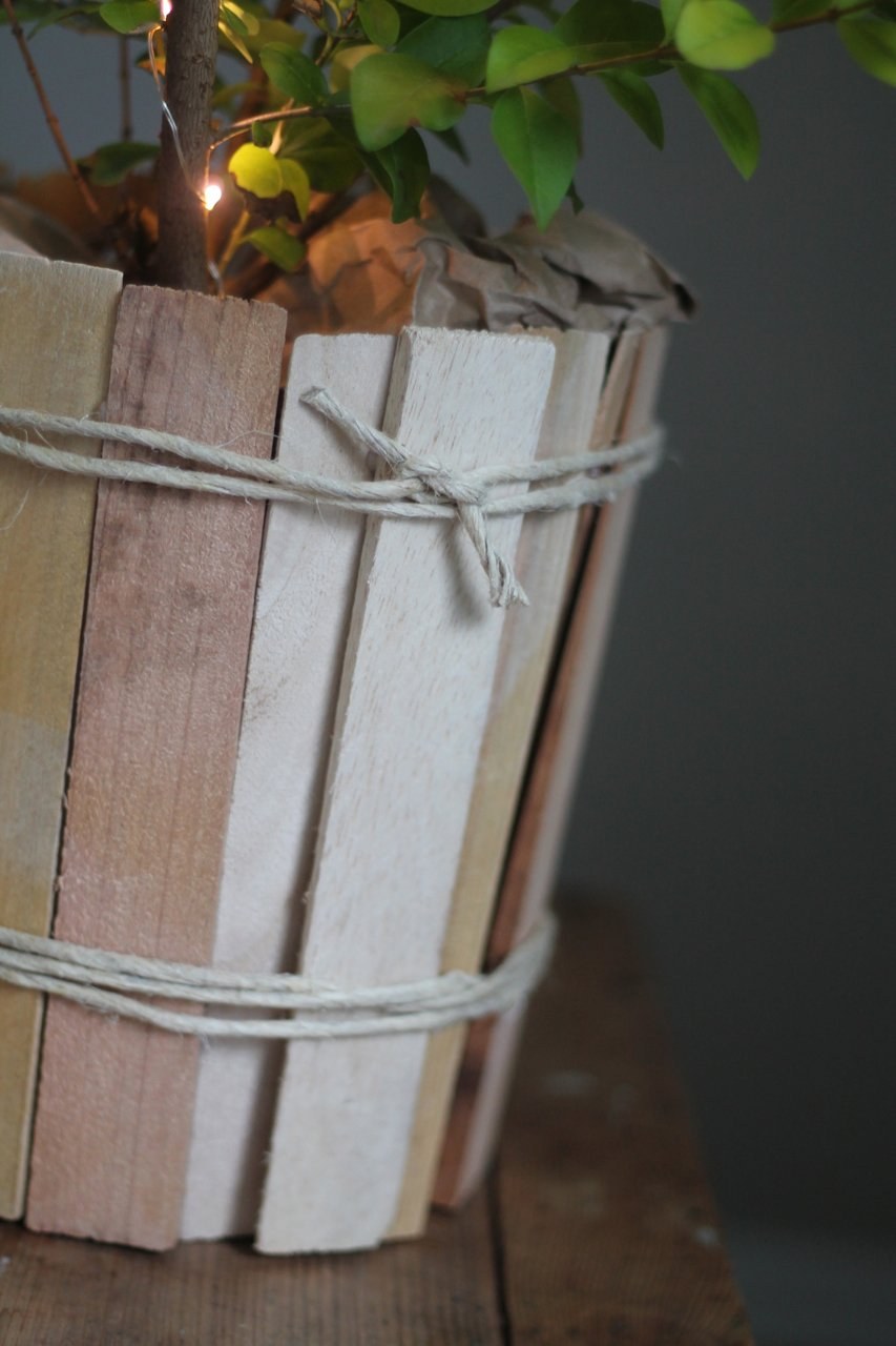 Из цветочного горшка