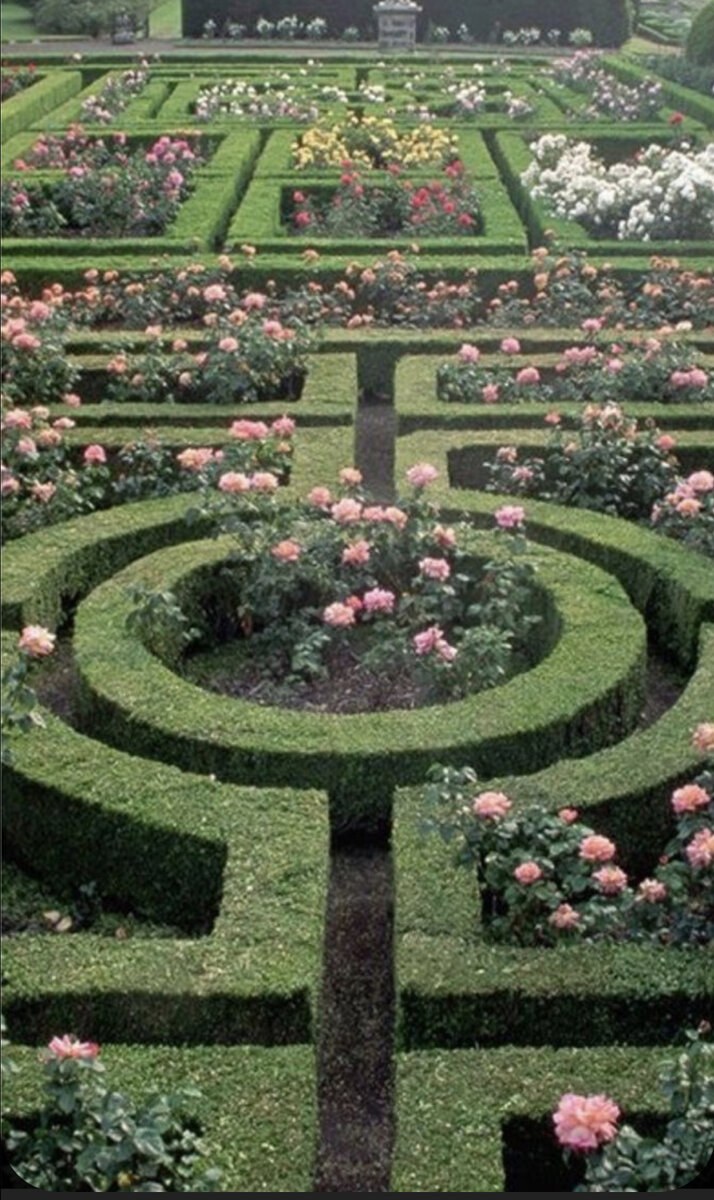 Партер ландшафт