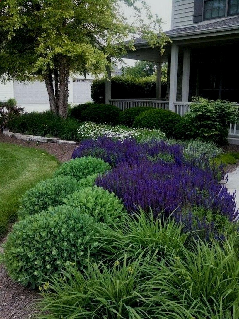 Туя розмарин миксбордер